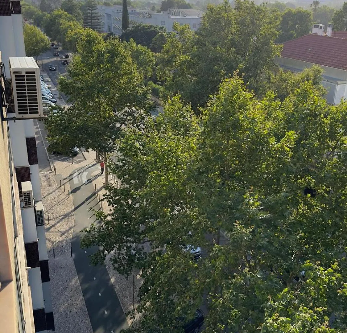 Apartamento Room Alvalade Lisboa Portugal